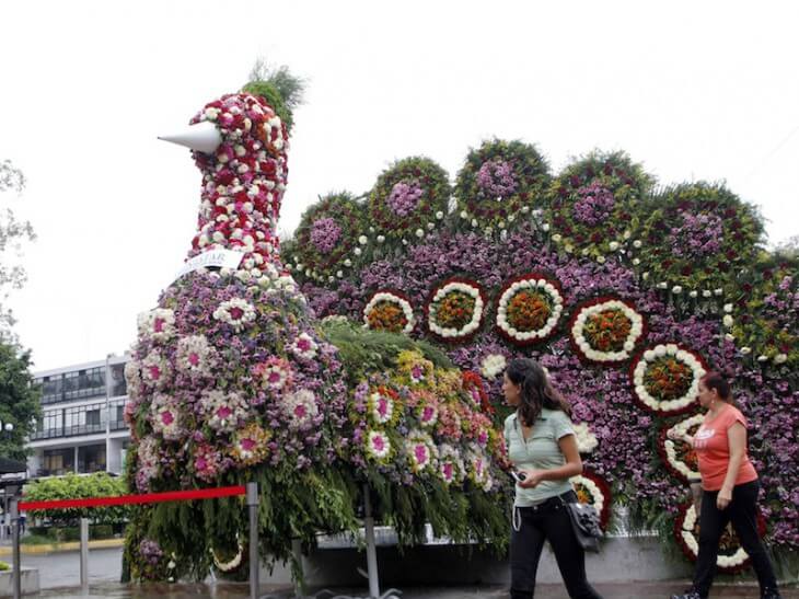 Así luce la Feria de las Flores en San Ángel