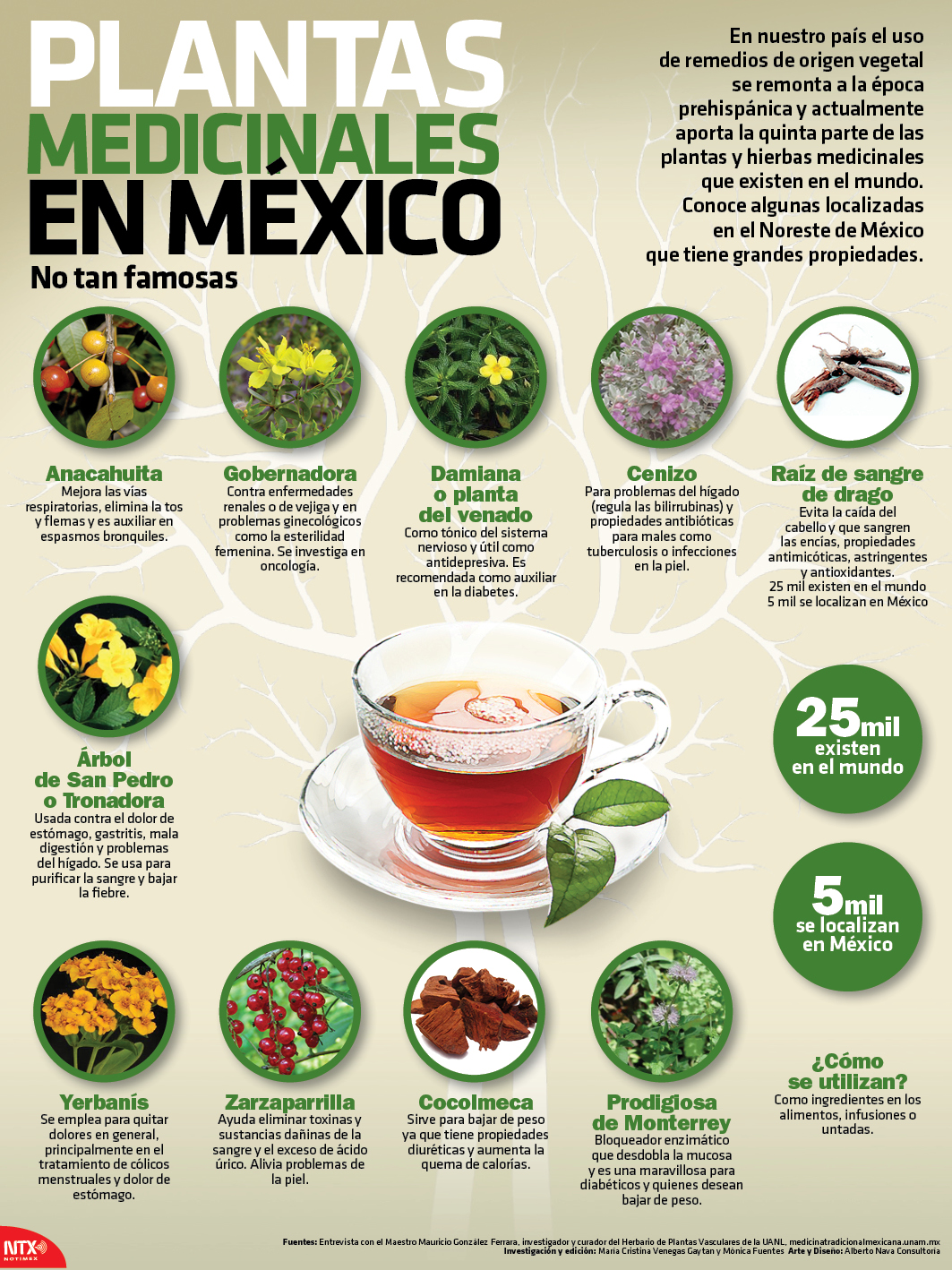 plantas-medicinales-mexico