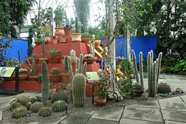 jardin-de-frida-kahlo