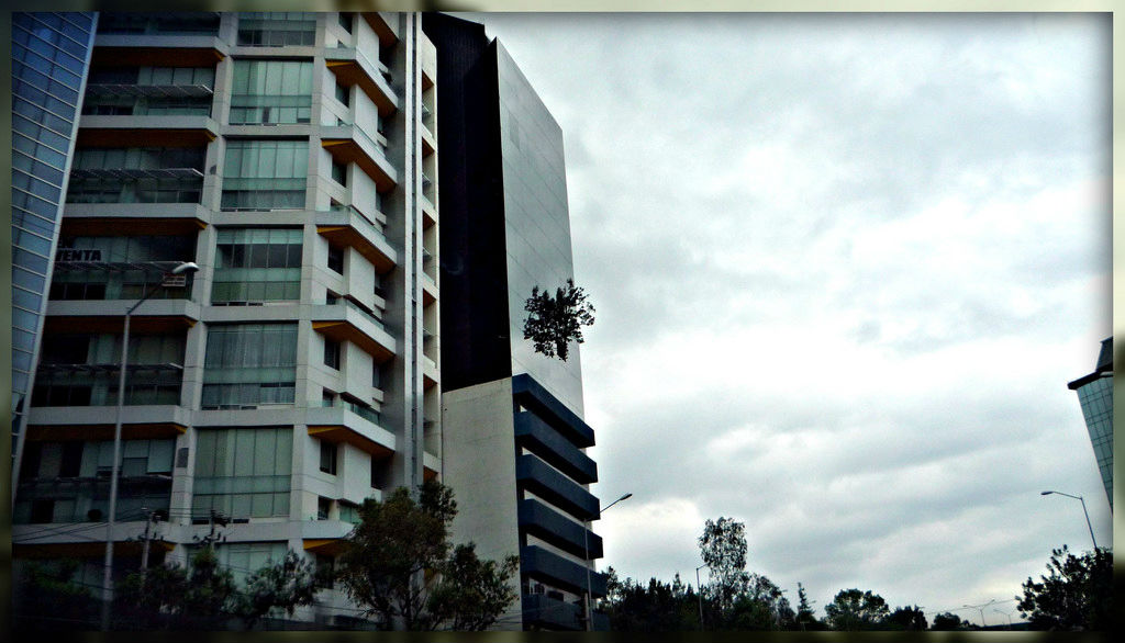 la torre del árbol edificio del árbol ciudad de mexico
