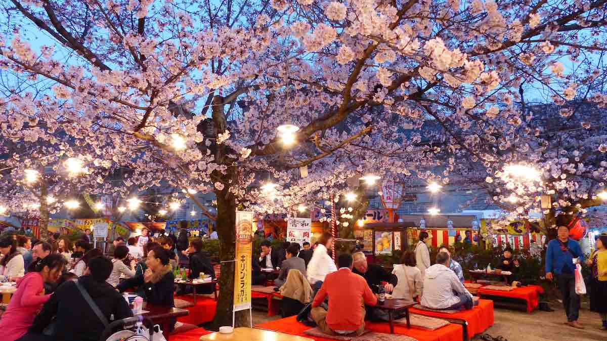 Hanami, un encantador festival de sake, cerezos y tradiciones japonesas