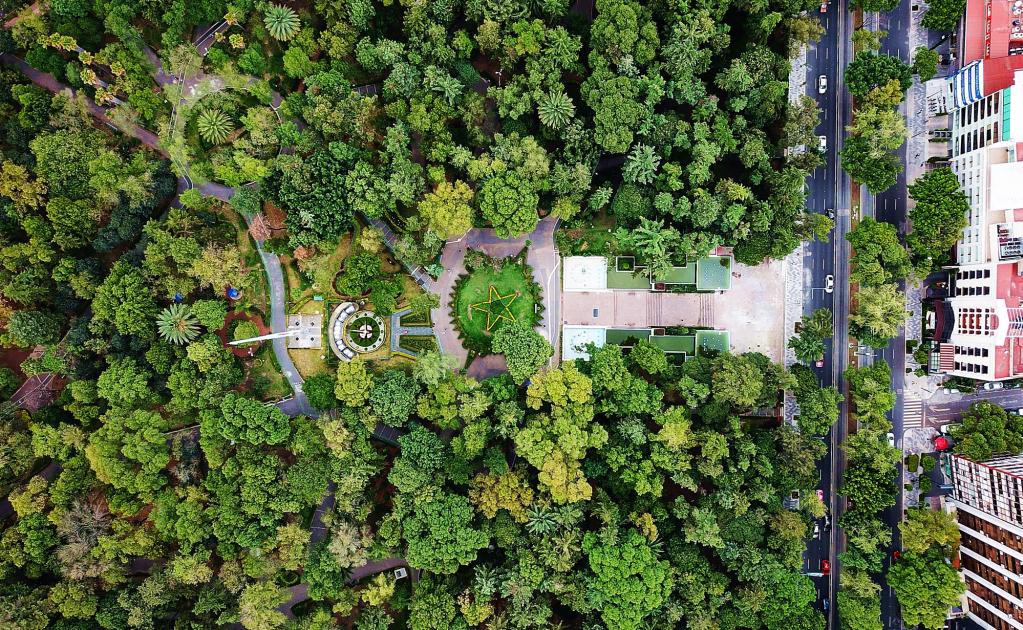 10 áreas verdes y parques poco conocidos de la Ciudad de México