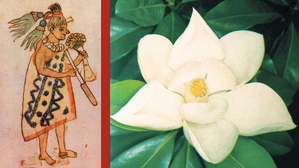 Encantadores rituales de veneración a las flores que tenían los mexicas