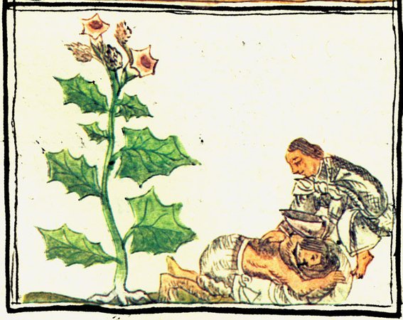  Encantadores rituales de veneración a las flores que tenían los mexicas
