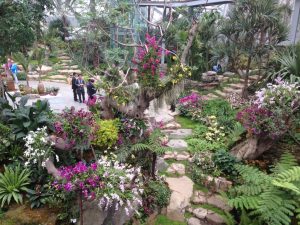 Ornamental Plants & Flowers: el evento más grande de flores en México