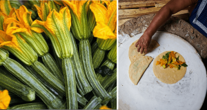 La flor de calabaza es una maravilla gastronómica mexicana