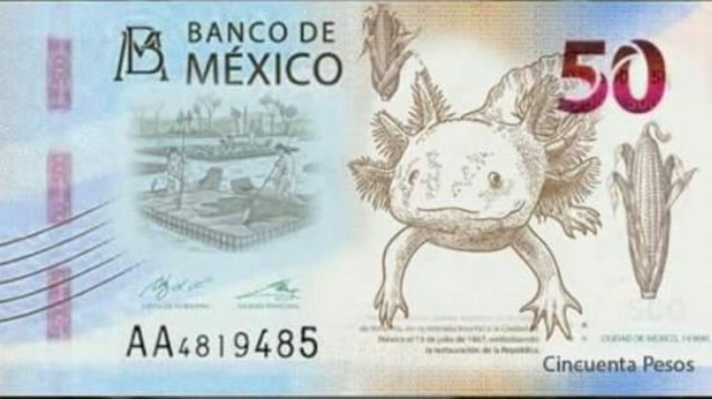 billete-de-50-pesos