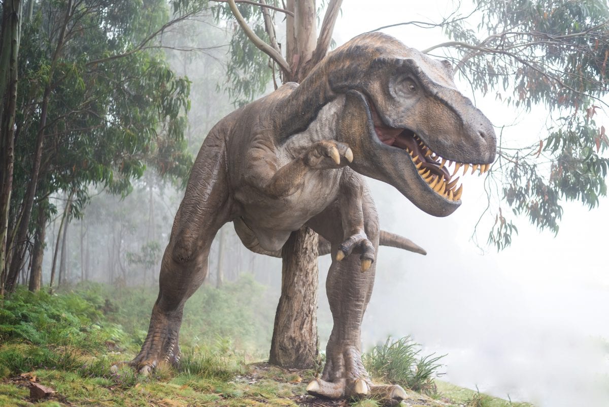 El documental de dinosaurios del Museo Papalote desde casa