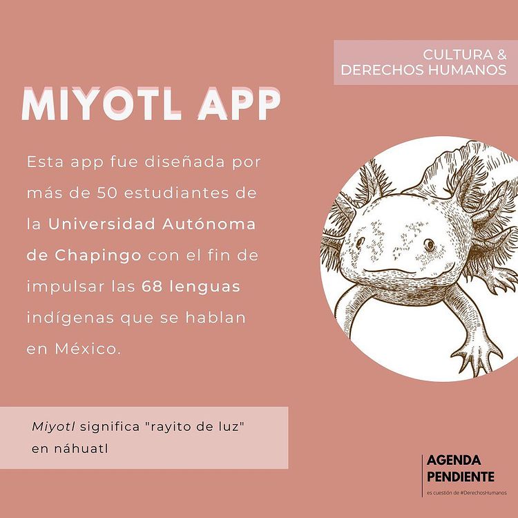 MiyotlApp, un rayito de luz para preservar y aprender lenguas madre