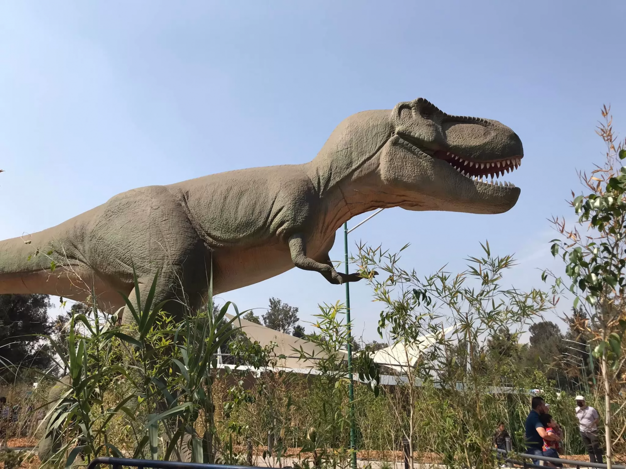 Viaja en el tiempo en estos lugares para ver dinosaurios en la CDMX
